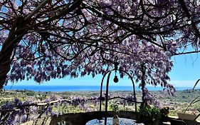 il noceto dell'etna